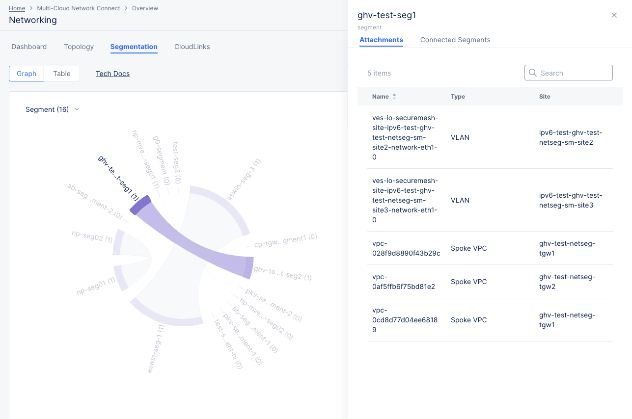 Figure: Site Networking Segmentation Graph Attachment Details